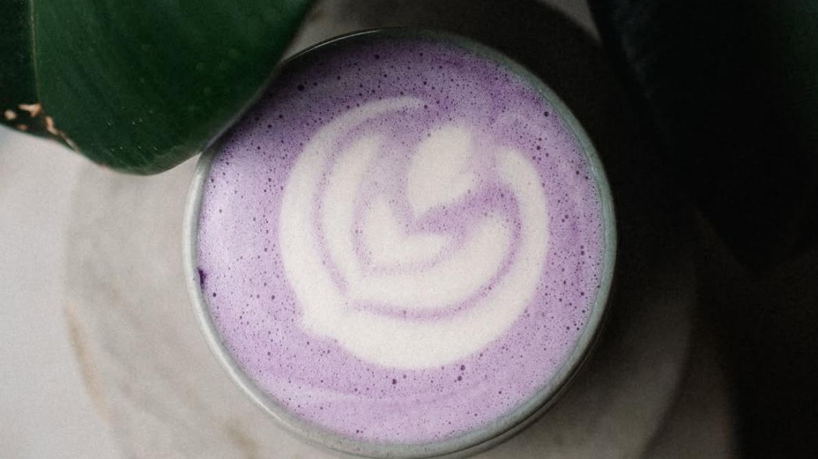 Découvrez le Ube Latte chez Paradox La Rochelle : la boisson violette tendance aux multiples vertus !